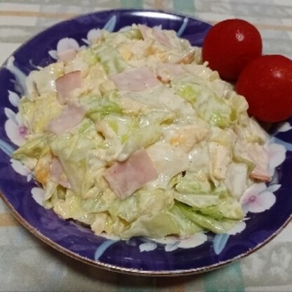 カレーの副菜に作りました。ゆで卵が苦手な家族がいるので炒り卵ですが、レタスの食感よく美味しかったです。